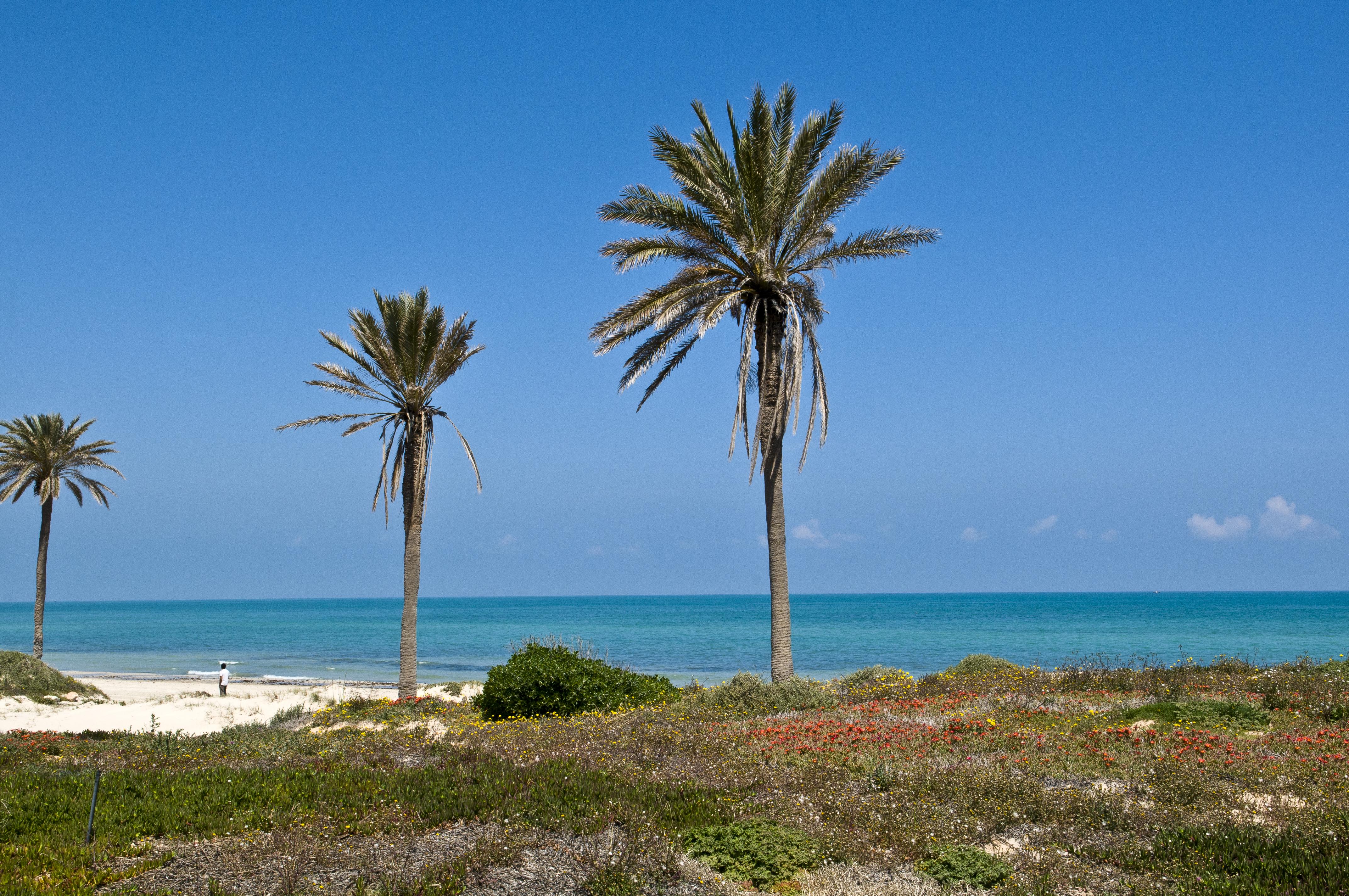 Ulysse Thalasso & Spa (Adults Only) مزرايا المظهر الخارجي الصورة